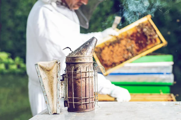 Včelař Kouří Bílý Kouř Včelařská Práce Včelíně — Stock fotografie
