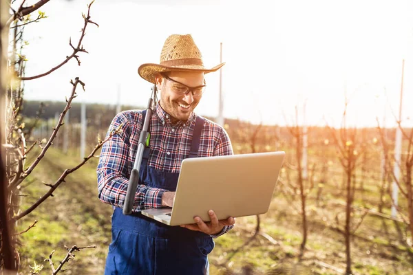 梨の果樹園にノートパソコンを持つ農学者とチェック木 — ストック写真
