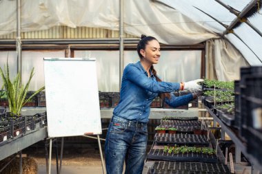 Serada çalışan çekici genç bir kadın..