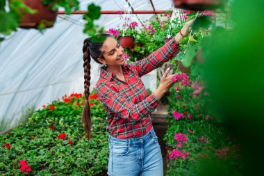 Seradaki bir kadın. Elinde yeşil çiçekli vazo tutan kız..