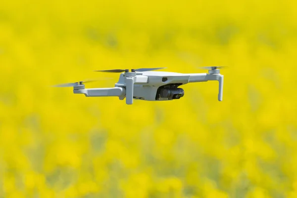 Mini drone floating above rapeseed field surveilling.