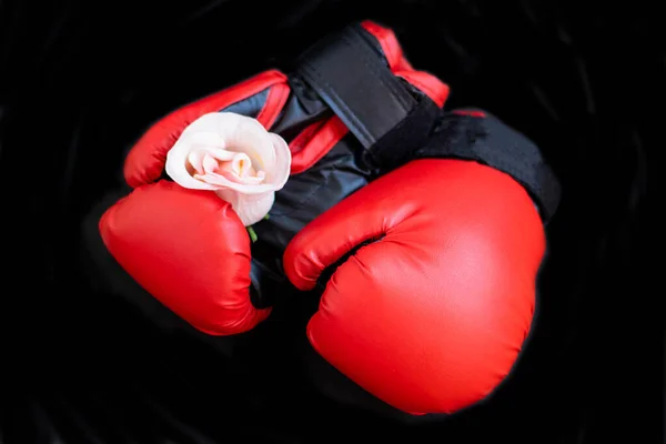 Jemný Růžový Květ Boxerských Rukavicích Koncept Inteligentní Mírové Síly — Stock fotografie