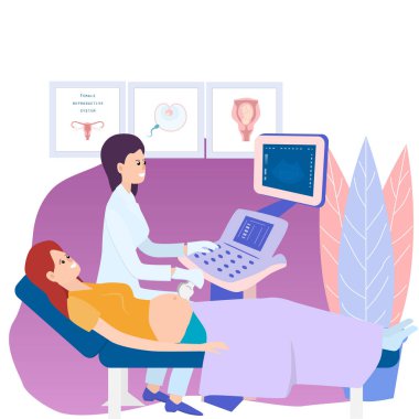 Hamile bir kadın ultrason taramasıyla muayene edilir. Bir kadın bebeğini görür.