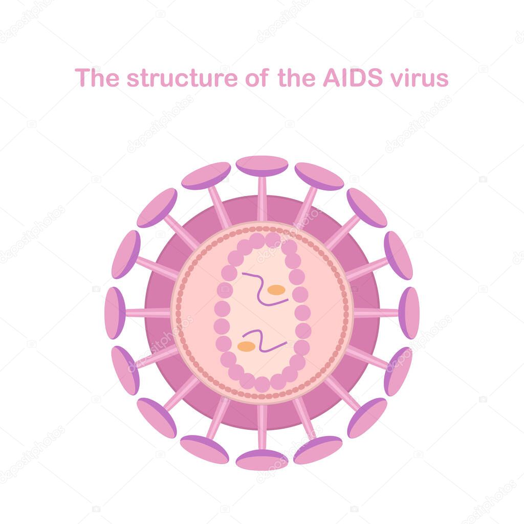 The structure of the AIDS virus. Medical infographics.
