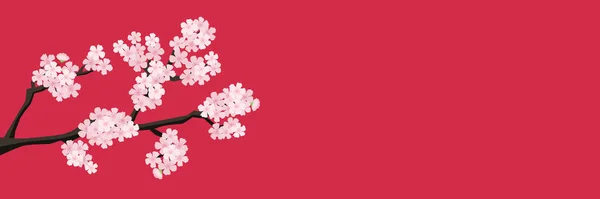 Blooming Sakura Symbol Japan Horizontal Banner Red Background Travel Asia — Stock Vector