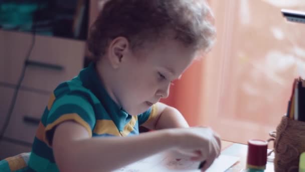 Little Boy Draws Table Home Child Engaged Creativity Studying Home — Stock Video