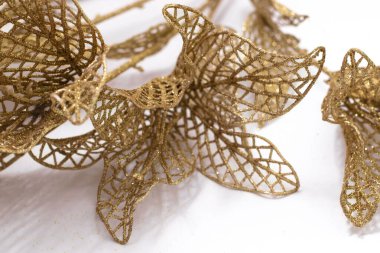 Beyaz bir arka planda altın dekoratif açılış çiçekleri. Tasarım için doku, fotoğraf.