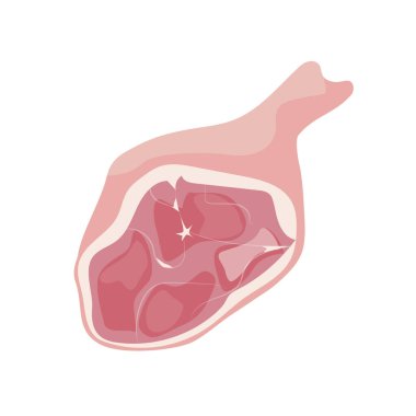 Domuz etli jambon. Çiftlik ürünleri, yemek malzemeleri, vektör