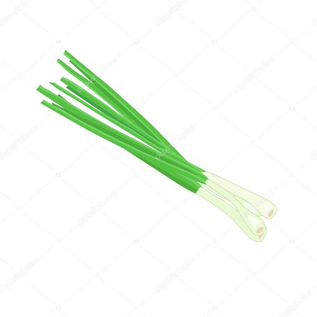 A bunch of green onions on a white background. Food, ingredients. Vector illustration
