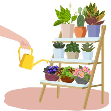Kapalı kaptaki bitkiler raflarda duruyor. Bir el sulama kutusundan çiçekleri suluyor, evcil bitkilerle ilgileniyor. Vektör