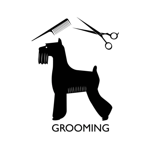 Silhouette Beautifully Trimmed Dog Terrier Comb Scissors Concept Grooming Pet — Stock Vector