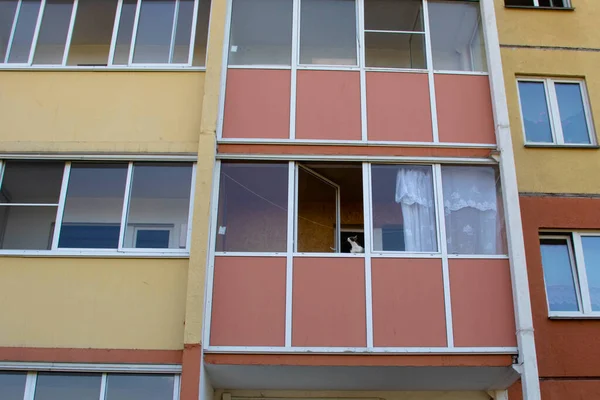Bir apartman bloğunun pencere ve balkonları. Kedi balkonda oturuyor..