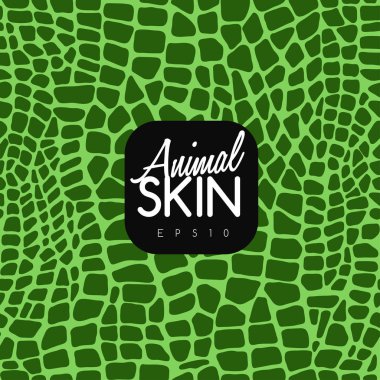 Seamless Animal Skin Pattern : Vector Illustration clipart