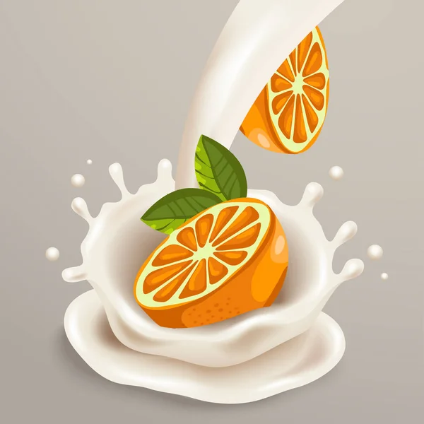 Naranjas y salpicaduras de leche — Archivo Imágenes Vectoriales