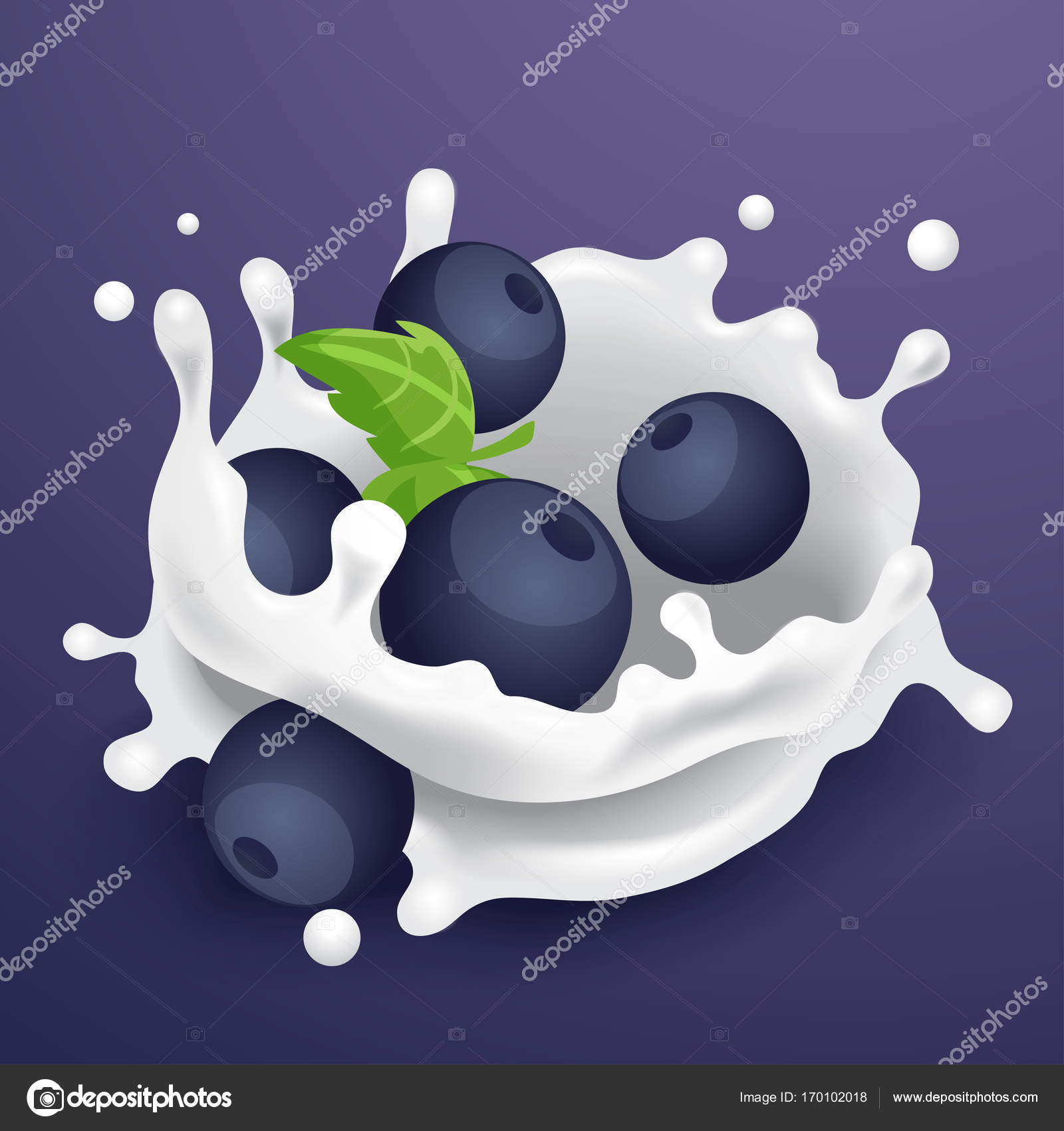 Blueberries and milk splash — Stock Vector © daraon 170102018