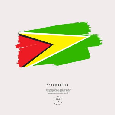 Guyana bayrak illüstrasyon vektör 