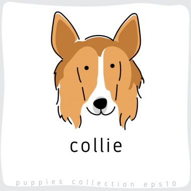 Köpek doğurmak koleksiyonu: Vektör çizim