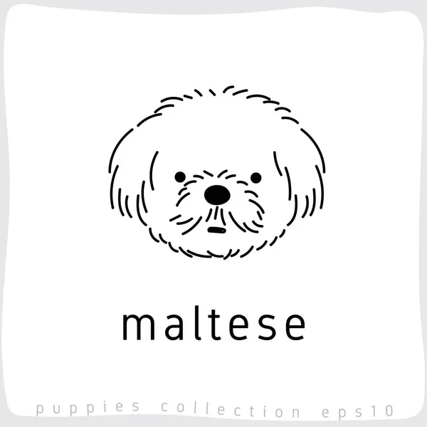 Collezione Dog Breed Illustrazione Vettoriale — Vettoriale Stock