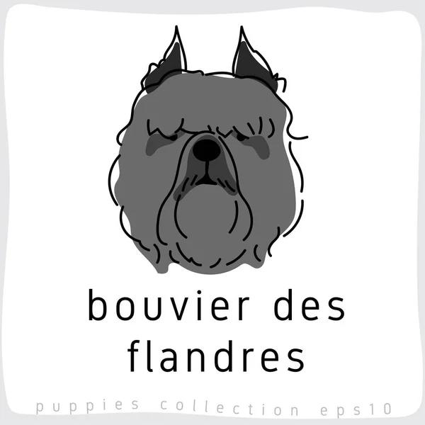 Collection Race Chiens Illustration Vectorielle — Image vectorielle