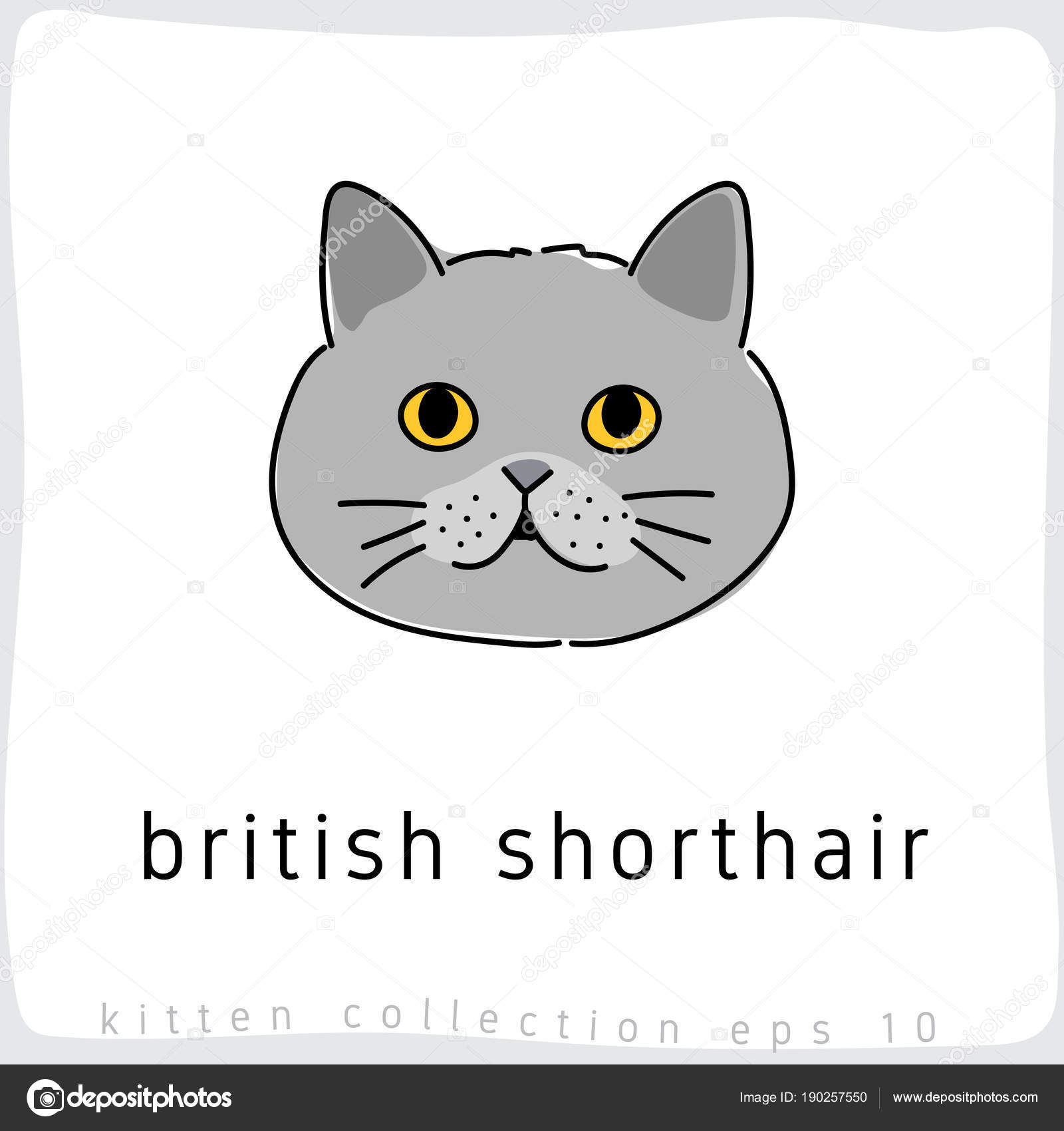 British Shorthair cat icons set cartoon vector. Funny animal