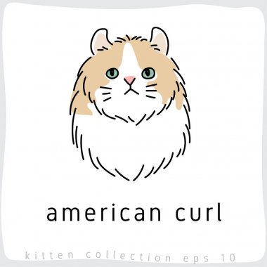 Amerikalı kıvırmak kedi vektör çizim 