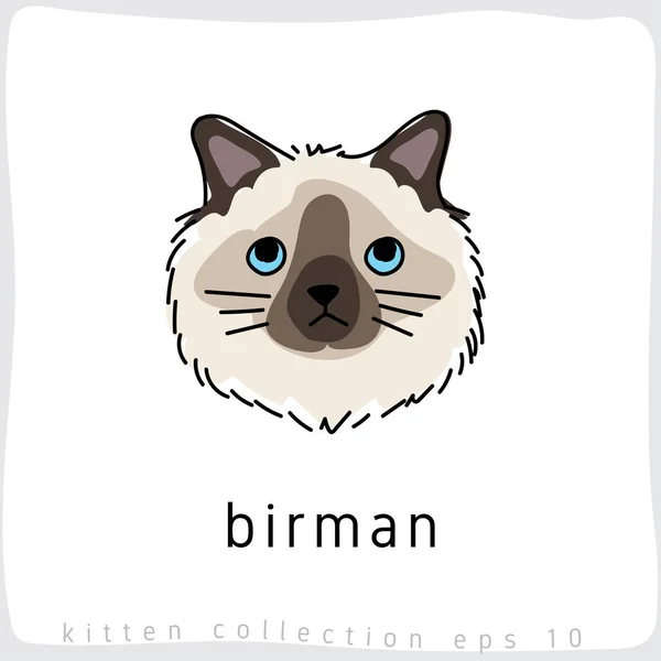 Εικονογράφηση Διάνυσμα Γάτα Birman — Διανυσματικό Αρχείο