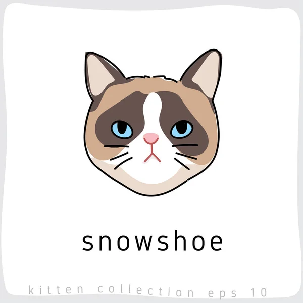 Neve Sapato Gato Vetor Ilustração —  Vetores de Stock