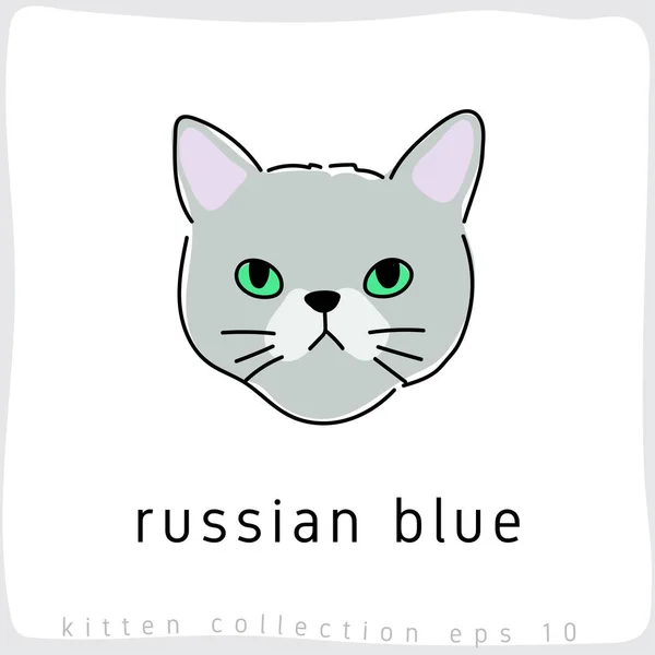Ρωσική Μπλε Γάτα Εικονογράφηση Διάνυσμα — Διανυσματικό Αρχείο