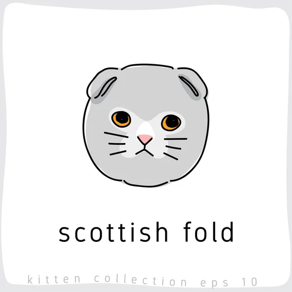 İskoç fold kedi vektör çizim 