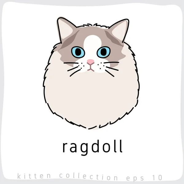 Ragdoll Kat Vectorillustratie — Stockvector