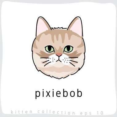 Peri bob kedi vektör çizim 