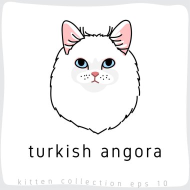 Türk angora kedi vektör çizim 