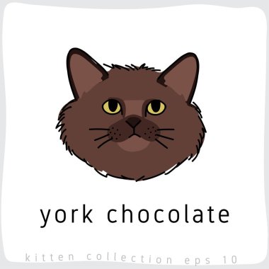 York çikolata kedi vektör çizim 