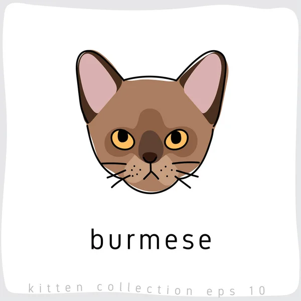 Burmese Katt Vektorillustration — Stock vektor