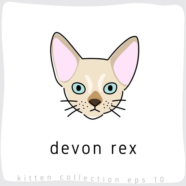 デヴォン レックス猫ベクトル図 — ストックベクタ