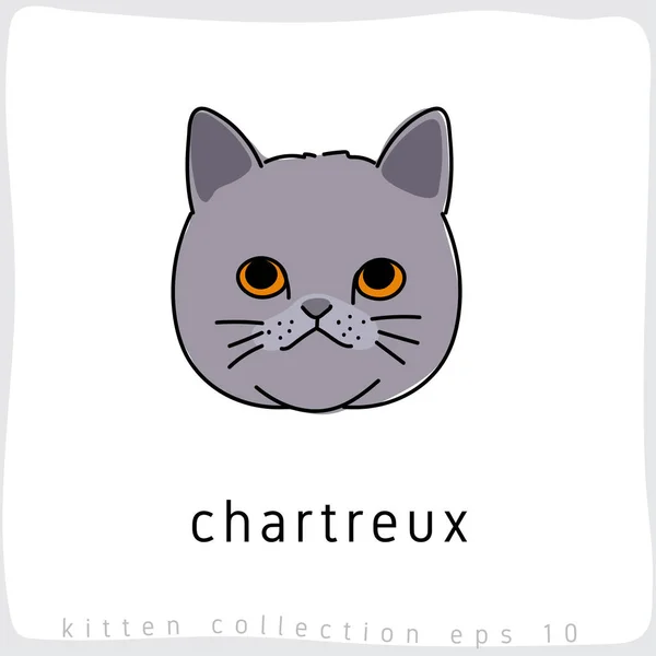 Απεικόνιση Φορέα Cat Chartreux — Διανυσματικό Αρχείο