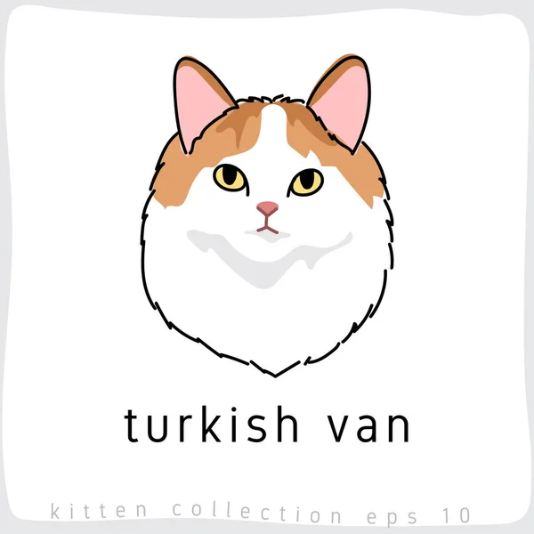 Turkse Van Kat Vectorillustratie — Stockvector