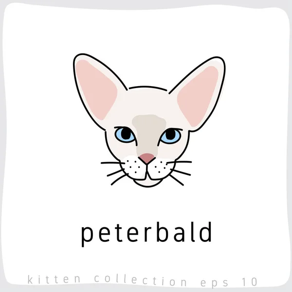 Illustration Vectorielle Chat Peterbald — Image vectorielle