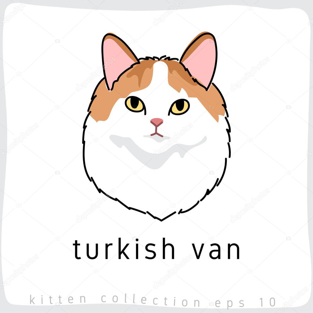 turkish van cat vector illustration 