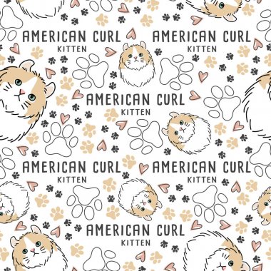 Kedi doğurmak koleksiyonu: Dikişsiz desen: vektör çizim