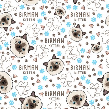 Kedi doğurmak koleksiyonu: Dikişsiz desen: vektör çizim