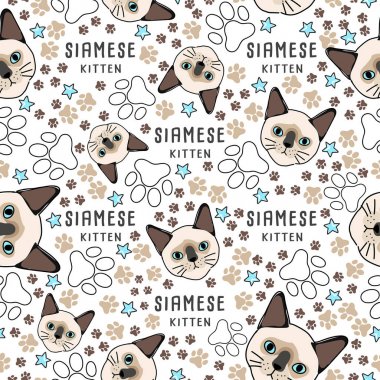Kedi doğurmak koleksiyonu: Dikişsiz desen: vektör çizim