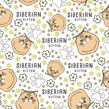 Kedi doğurmak koleksiyonu: Dikişsiz desen: vektör çizim
