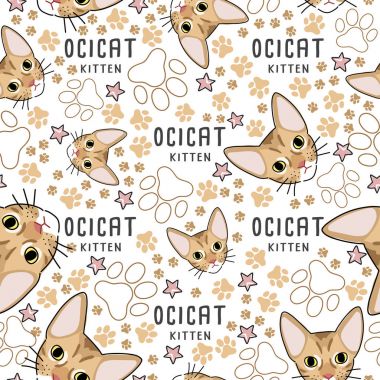 Kedi doğurmak koleksiyonu: Dikişsiz desen: vektör çizim