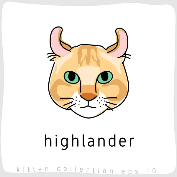 Highlander Katt Rasen Samling Vektor Illustration — Stock vektor