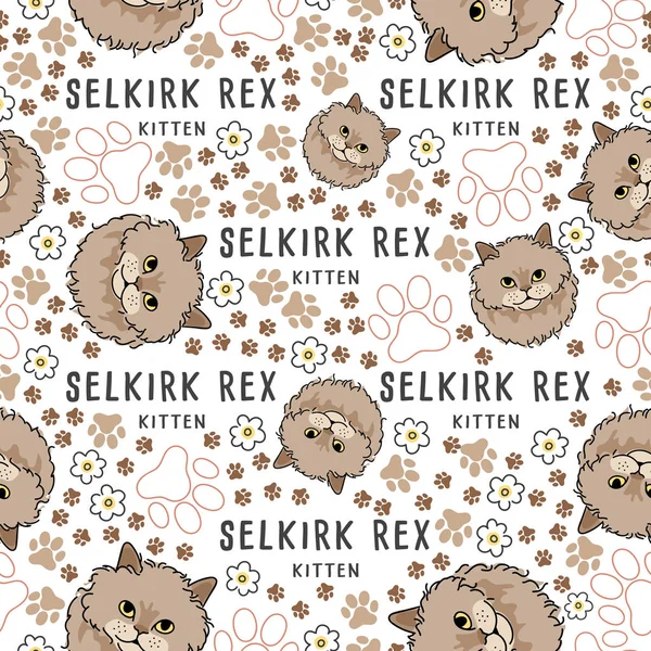 Kedi doğurmak koleksiyonu: Dikişsiz desen: vektör çizim