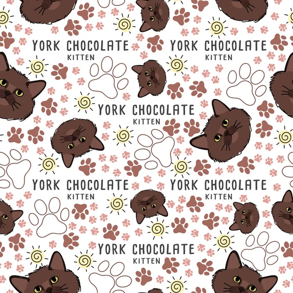 Kedi doğurmak koleksiyonu: Dikişsiz desen: vektör çizim