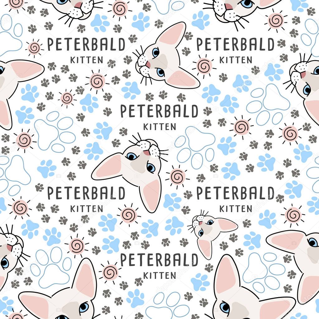 Cat breed Collection : Seamless Pattern : Vector Illustration