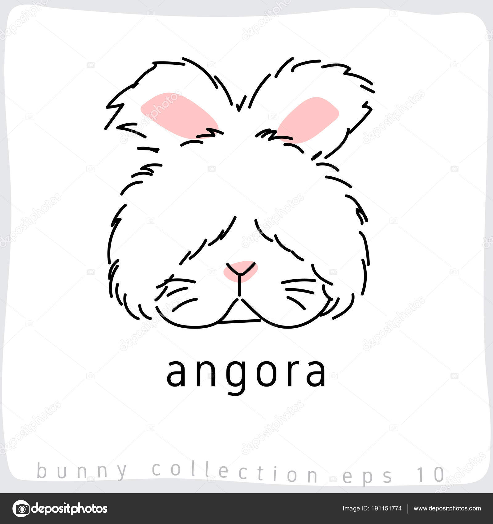 Angora Rabbit Breed Collection Vector Illustration Stock Vector by ...