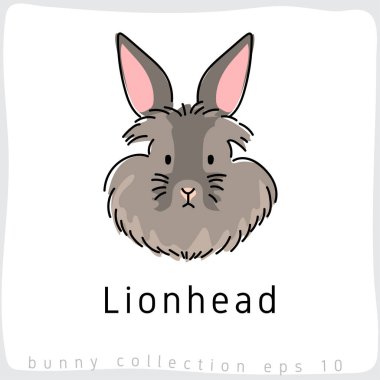 Lionhead: Koleksiyon tavşan doğurmak: vektör çizim
